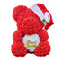 cadeau-femme-ours-teddy-rose-romantique-noel-st-valentin-rouge-xmas